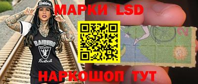 spice Камышлов