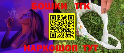 мдпв Кингисепп