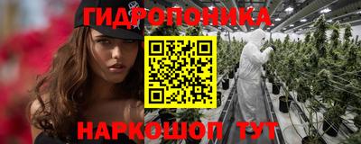 spice Камышлов