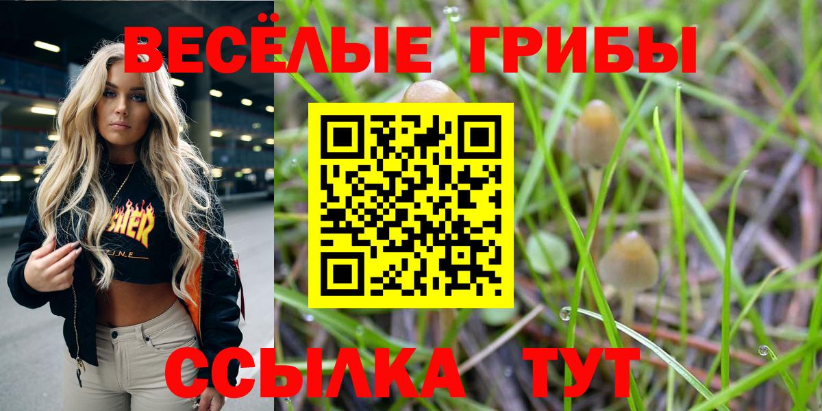 Галлюциногенные грибы мицелий  Вход с VPN  Бирск 