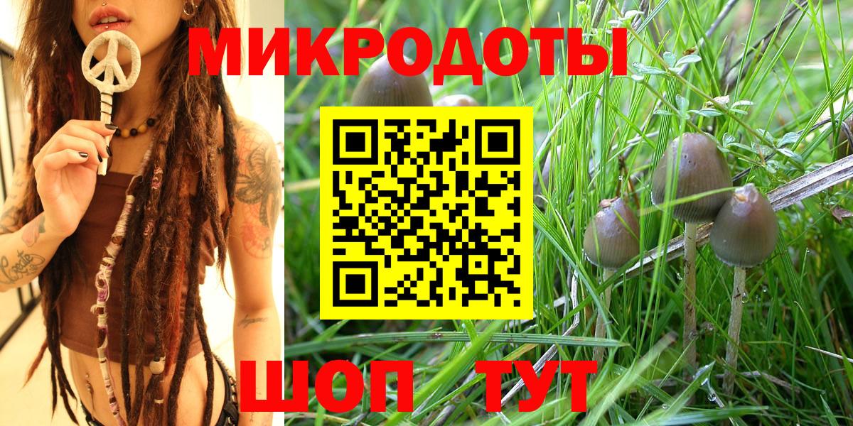Псилоцибиновые грибы мицелий Бирск